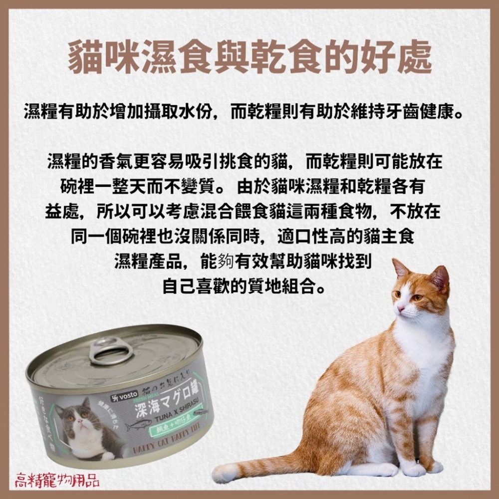 深海 vosto 鮮肉補鐵罐 170g 深海罐 貓罐頭 副食罐 補水罐 貓餐盒 貓食 鮪魚罐 貓零食