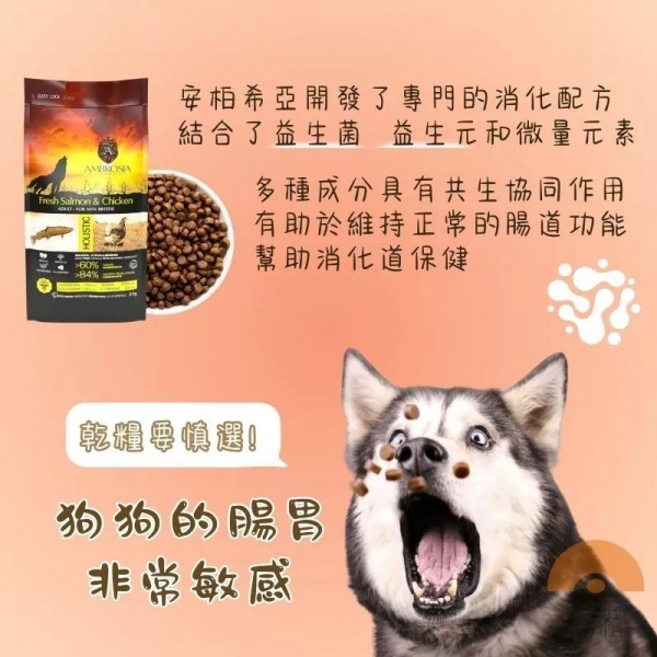 安柏希雅Ambrosia 無穀鮮肉犬糧 狗狗飼料 2kg 無穀狗飼料 小型犬飼料 幼犬飼料 安柏希雅飼 寵物飼料